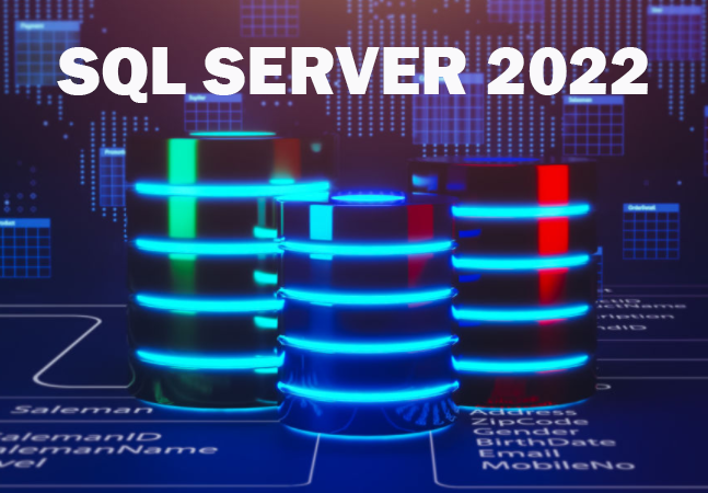 SQL Server 2022 中面向开发人员的新功能：区块链支持的安全性分类帐 - 墨天轮
