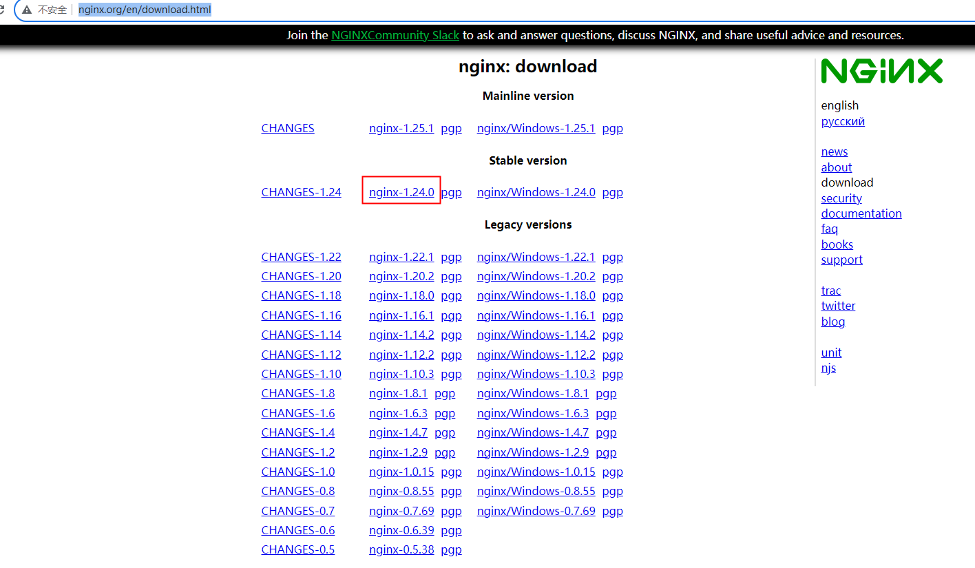 Nginx controller cve 2021 23017 web 