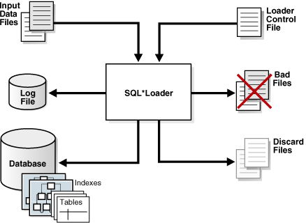 图 18-1 SQL*Loader 会话