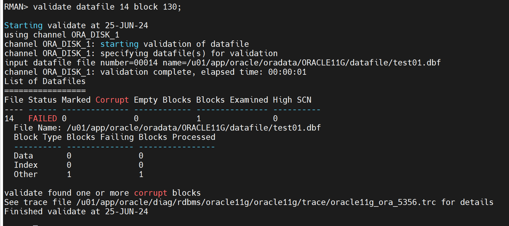 VDatabase_Block_Corruption 10G at Robert Hecker blog