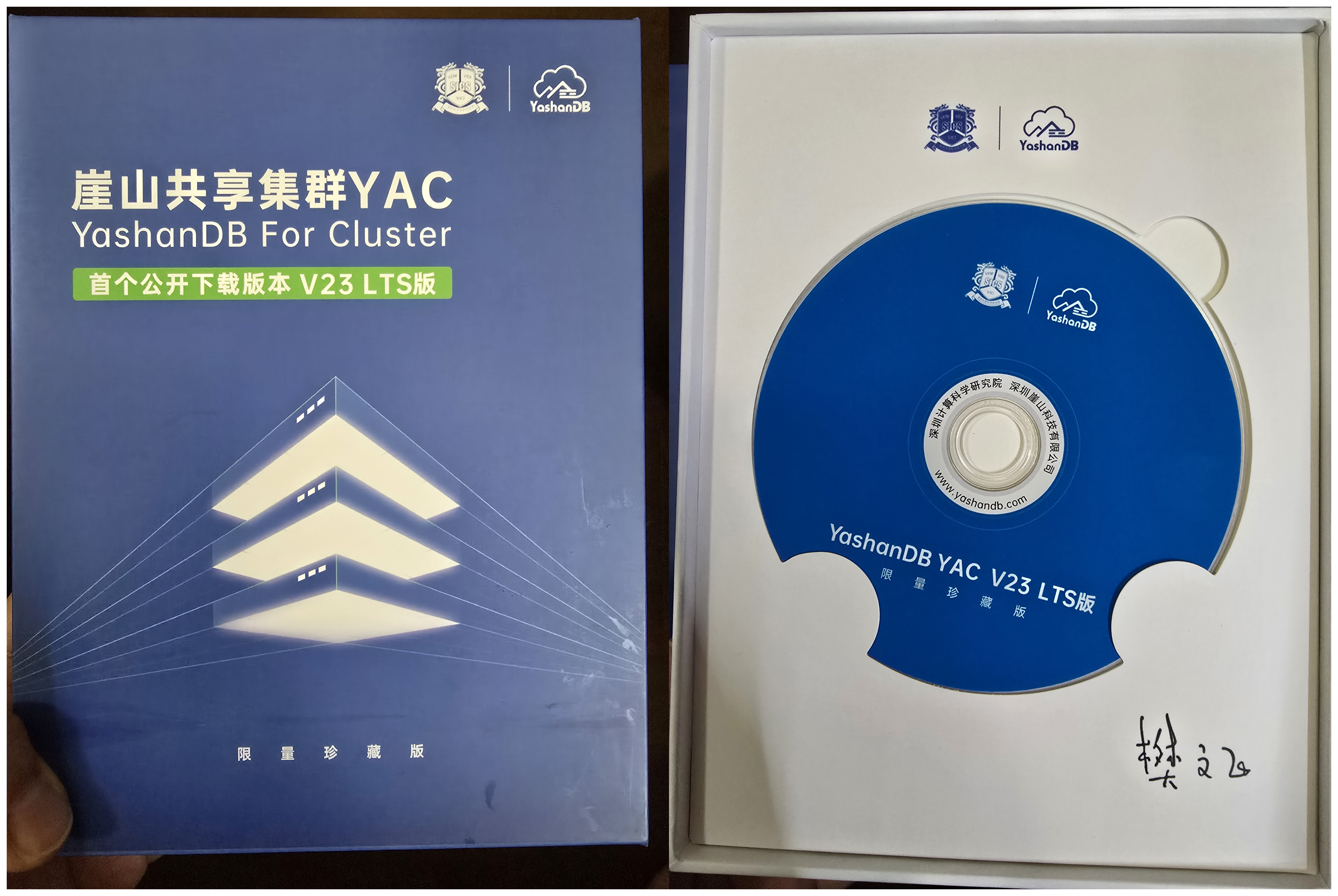 ydbcd.png