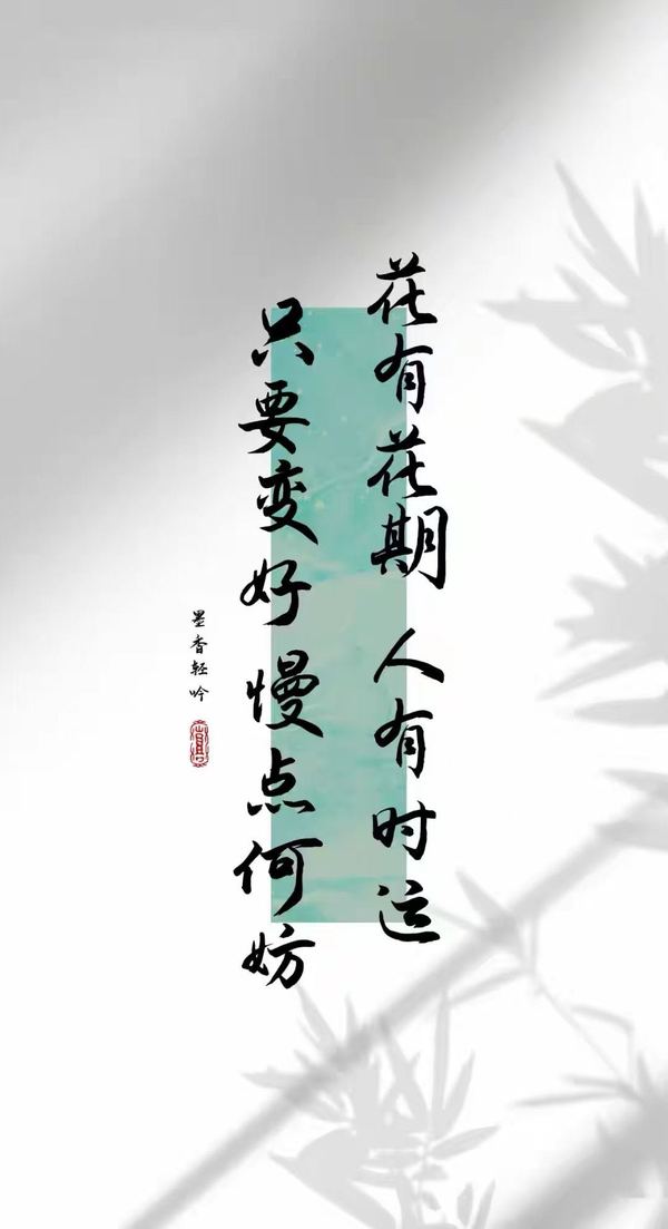 暂无图片