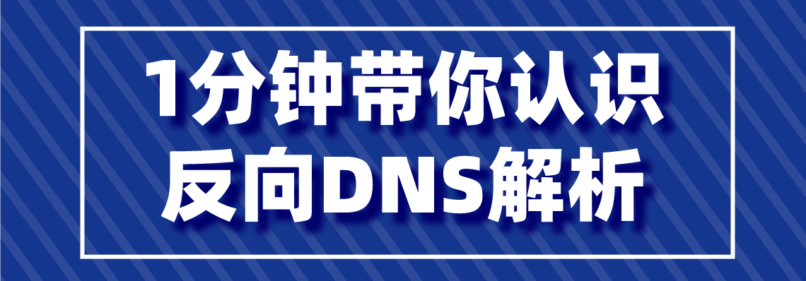 1分钟带你认识反向DNS解析.png