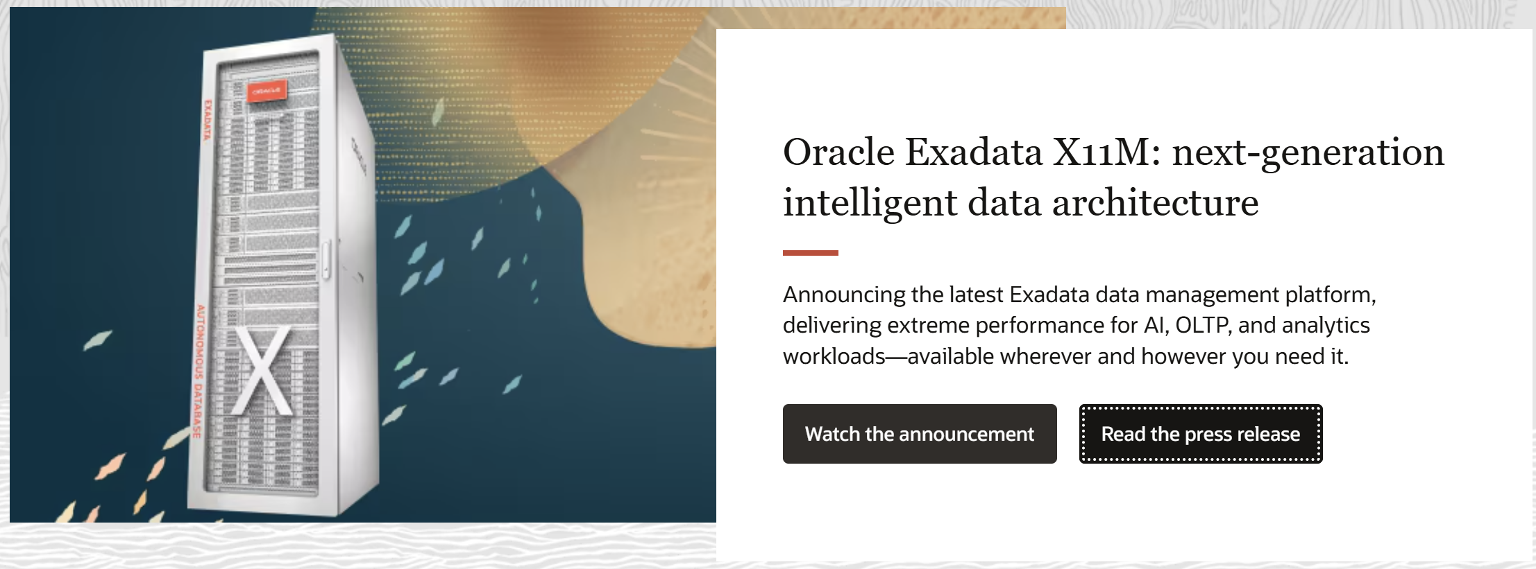 Exadata x11 发布（20250118） - 墨天轮