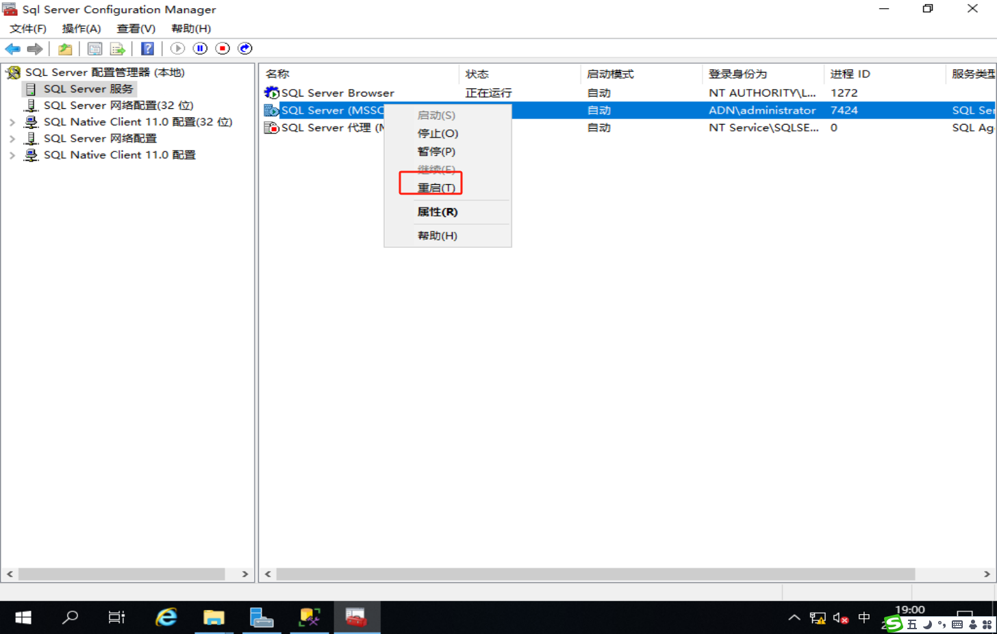 image-20250217190030108