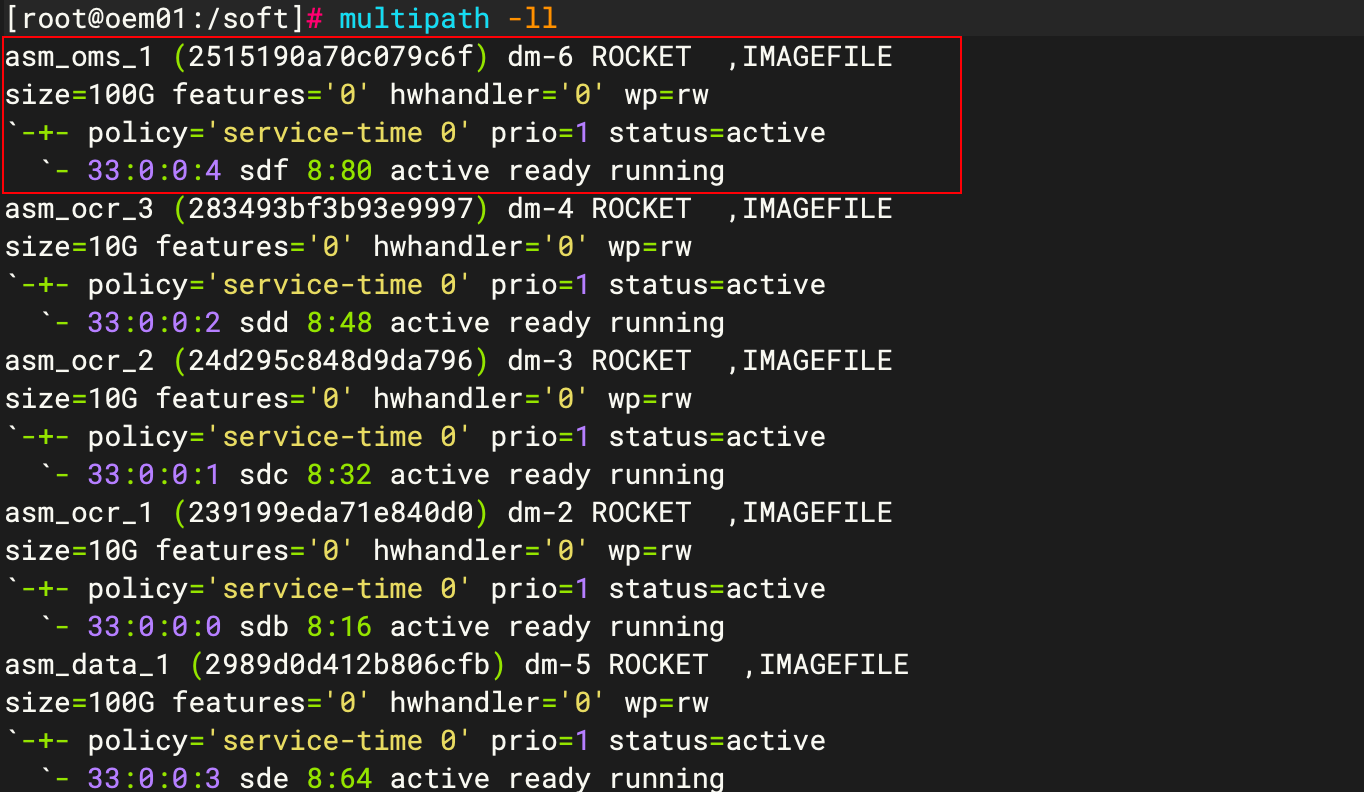 multipath 生效验证