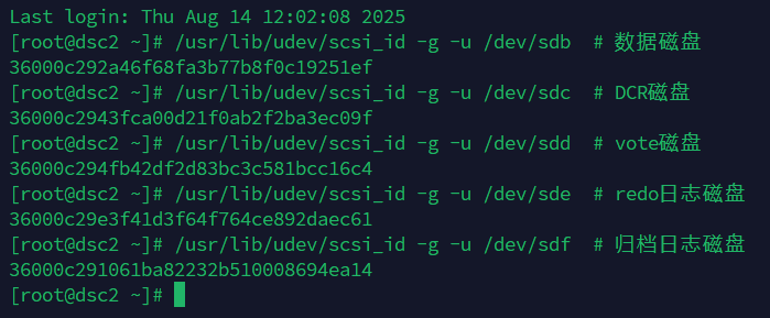 20250814142449imagepng