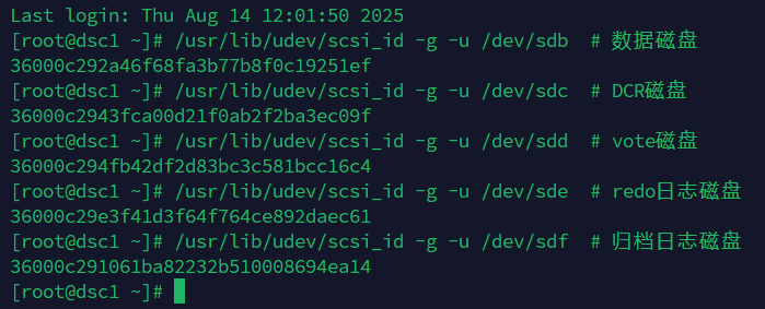 20250814142438imagepng