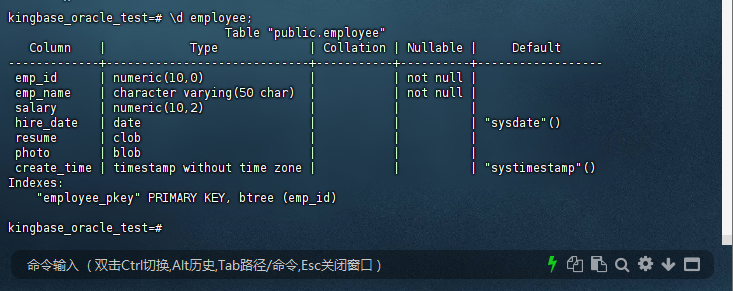 图2-5：用 \d 查看表结构