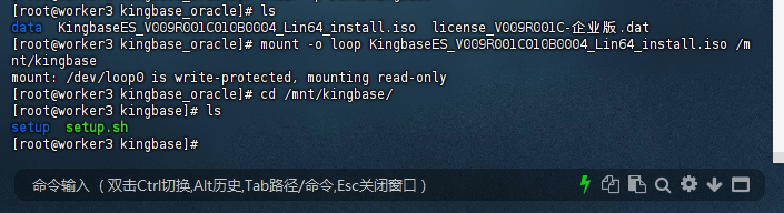 图1-4：挂载 ISO 并查看文件