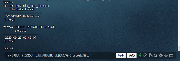 图4-3：验证日期格式与 SYSDATE 函数