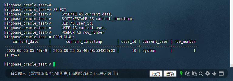 图2-18：测试 Oracle 内置函数