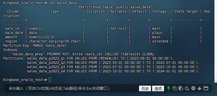 图2-23：原生方式查看分区