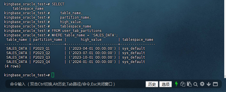 图2-24：Oracle 视图查看分区