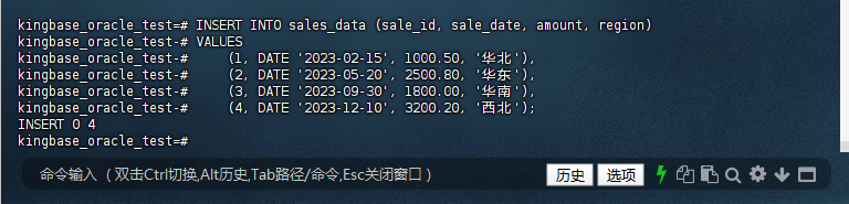 图2-25：插入分区数据