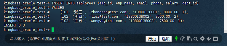 图3-5：插入员工数据