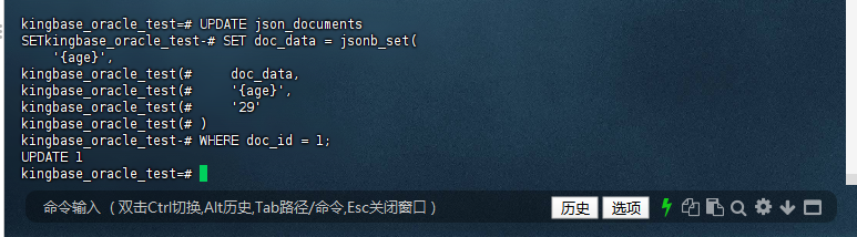 图3-13：更新 JSON 字段