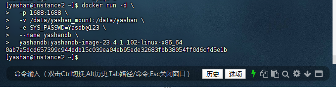 使用新目录启动容器截图