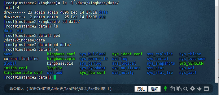验证数据持久化