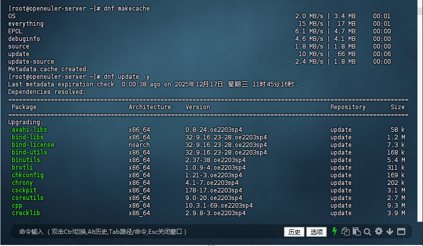 图28 dnf缓存更新成功