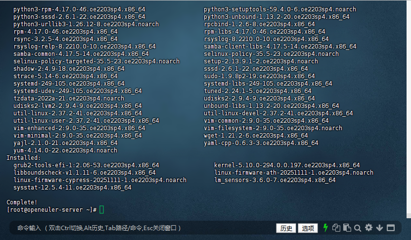 图29 系统更新过程