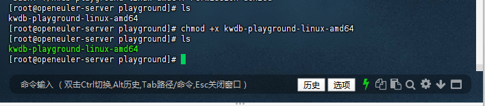 添加执行权限