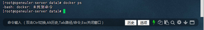 检查Docker环境