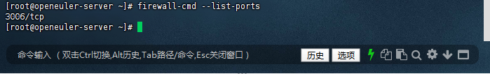 验证端口开放