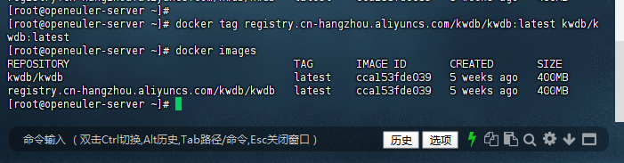 替换并命名镜像