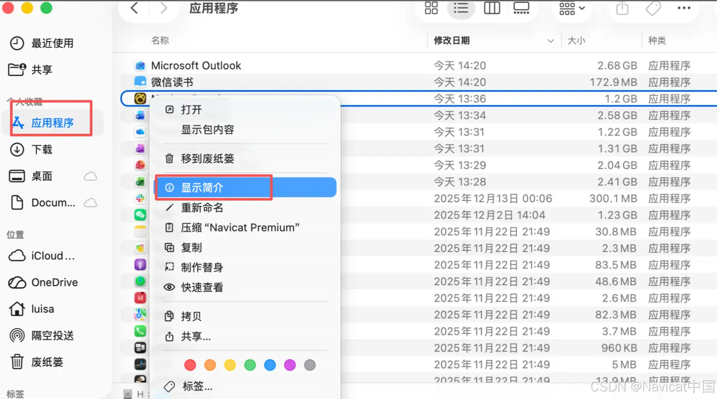Navicat Premium MacOS：原生或通过 Rosetta 运行教程