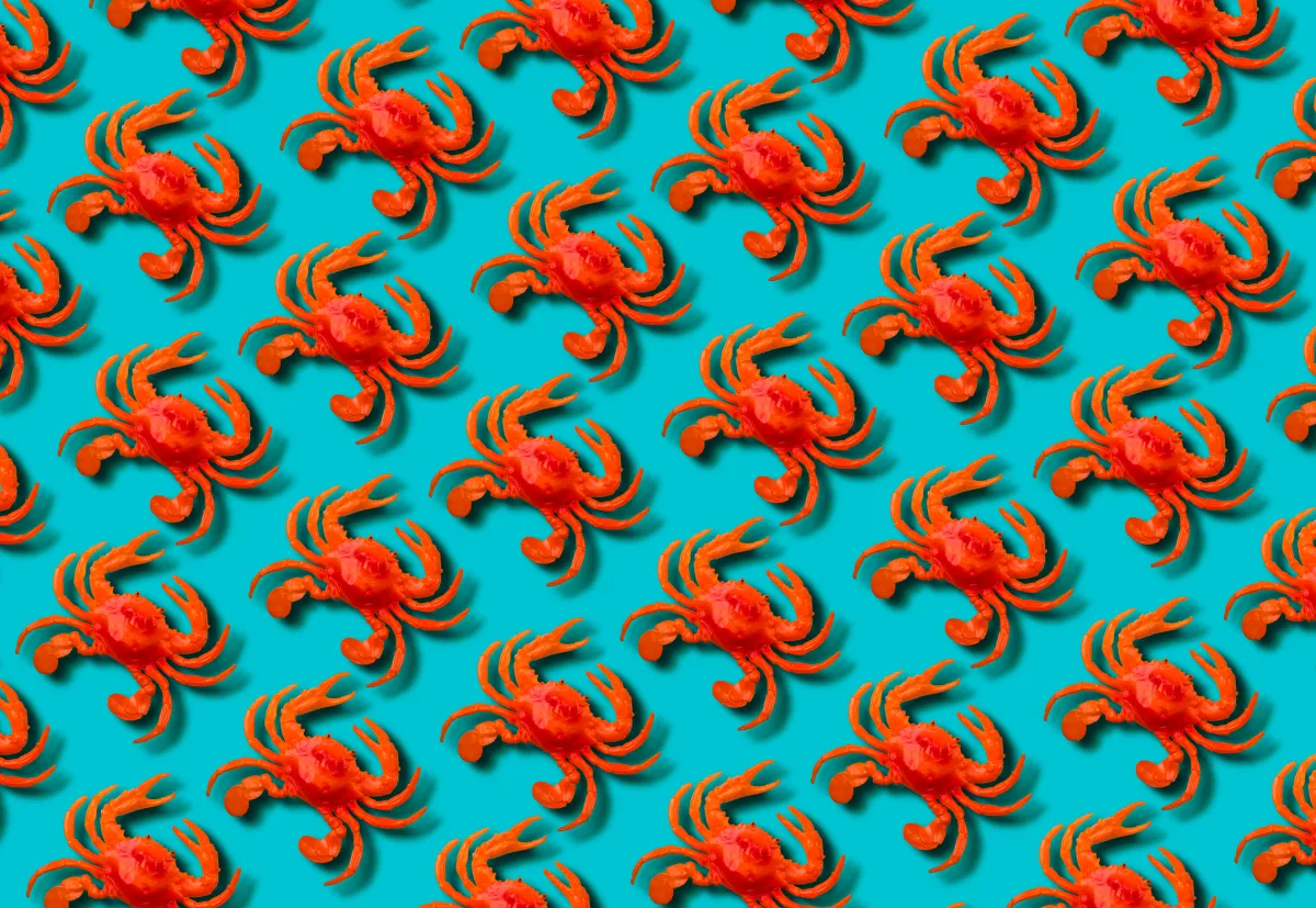 6.png