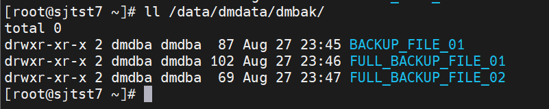 达梦数据库 DM9 备份恢复实战操作全流程