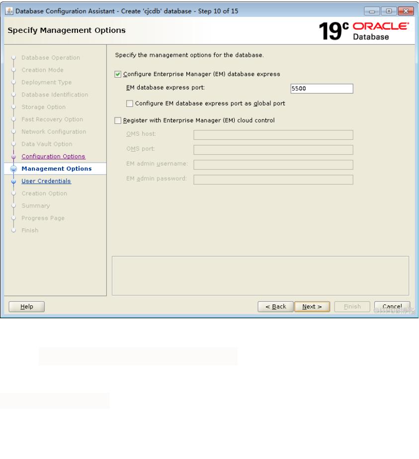 Oracle 19c em docx 