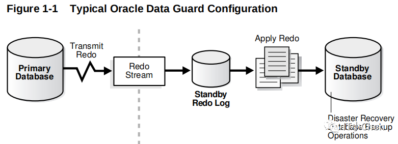 How To Check Primary And Standby Database In Oracle