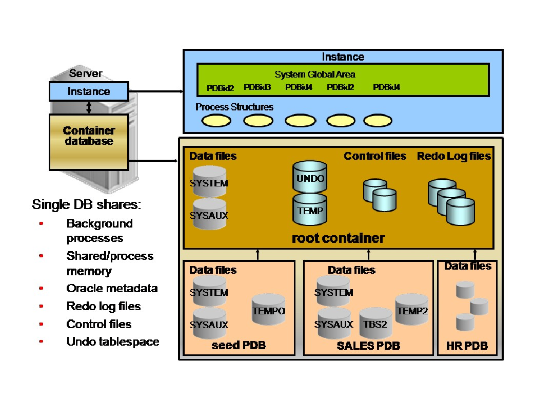 Db container. Global file System. Global database. Оракл существо. Oracle BPM.