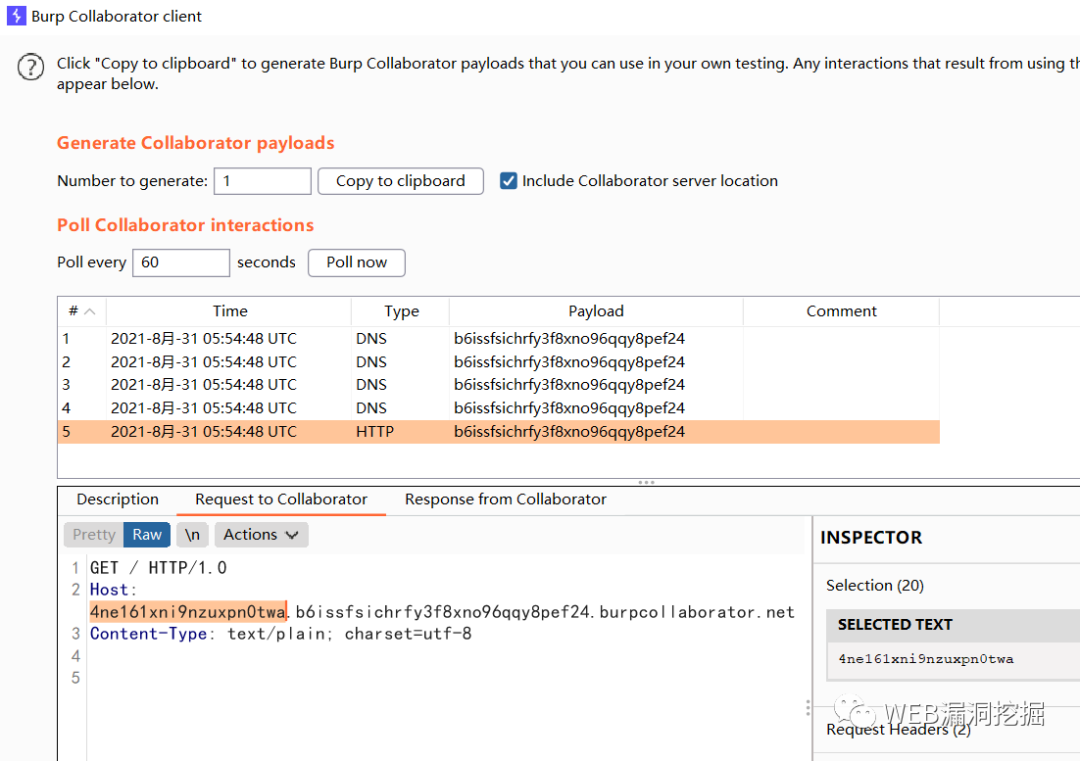  portswigger sql 