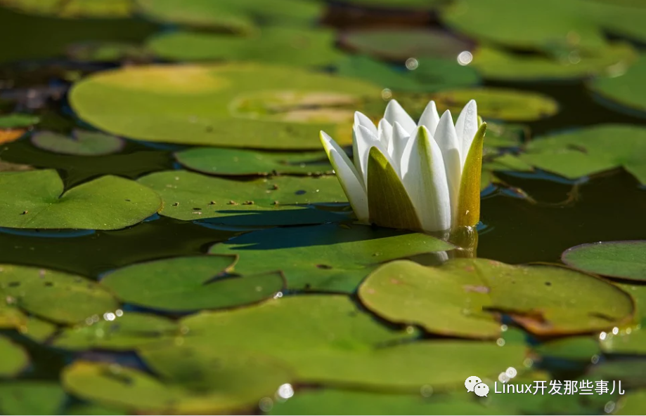 移位的位数是负数 结果会怎样 墨天轮