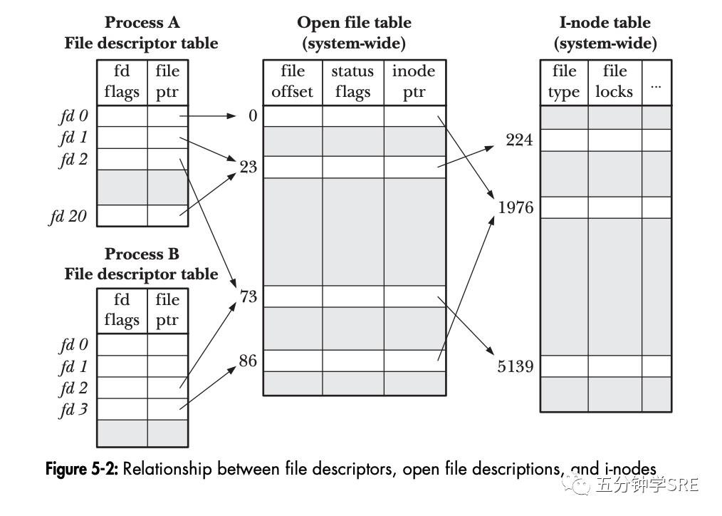 每日一问题探索细谈“Too many open files in system” 墨天轮