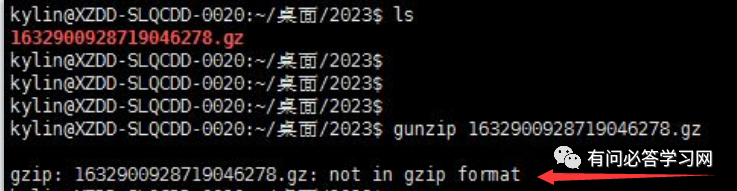 Not in gzip format ошибка linux