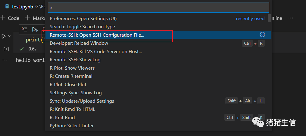Vscode配置r Python Bash编程环境 墨天轮
