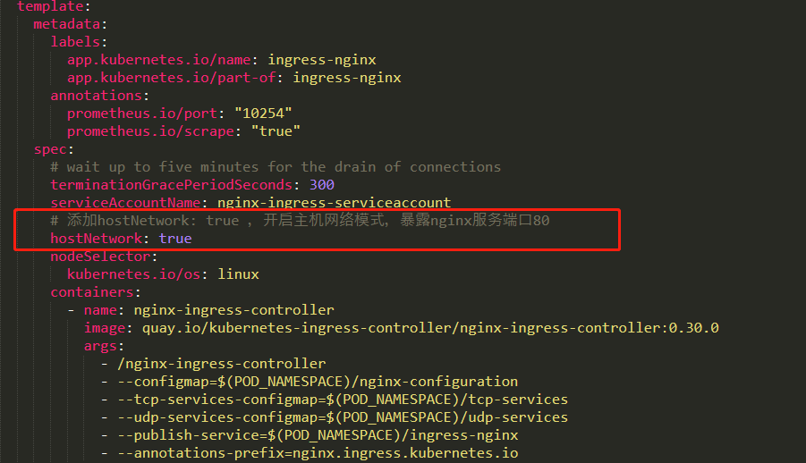 Kubernetes ingress nginx 