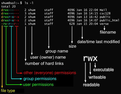 Change The Group Of The File In Linux