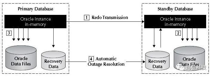 Adg oracle что это