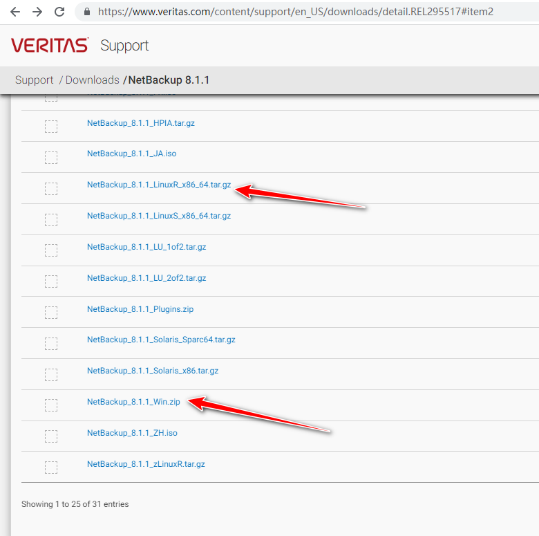 企业级备份软件Veritas NetBackup(NBU) 8.1.1服务端的安装部署 - 墨天轮