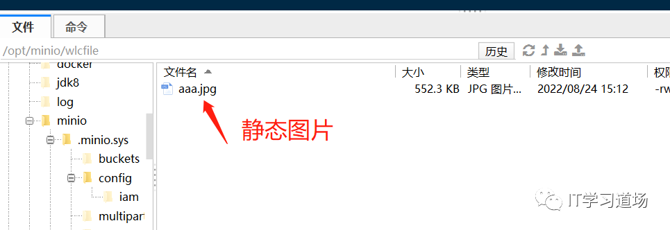 Nginx如何实现高效的缩略图处理？
