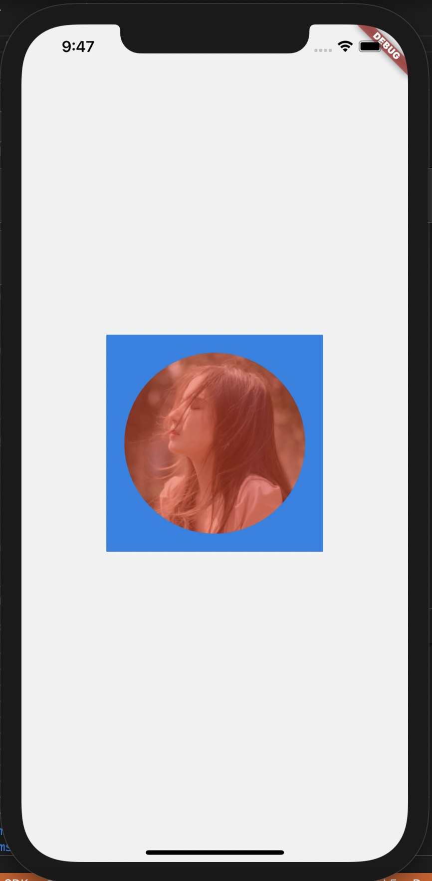 flutter custompaint 
