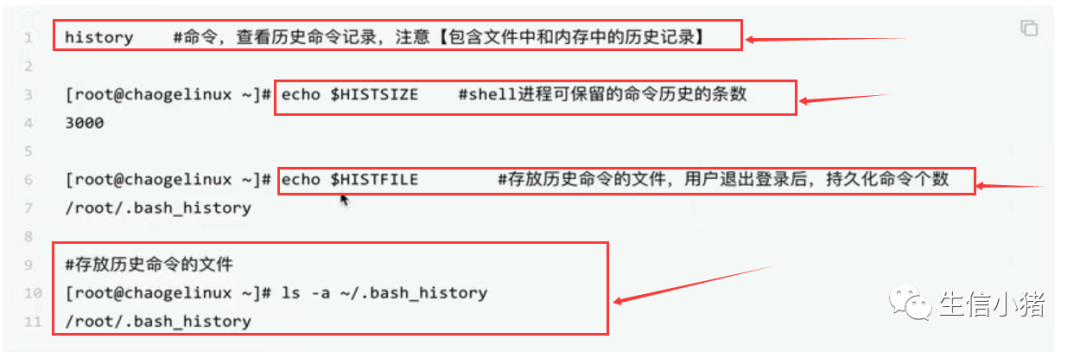 Shell Bash基础特性 Shell变量详解 父子shell 墨天轮