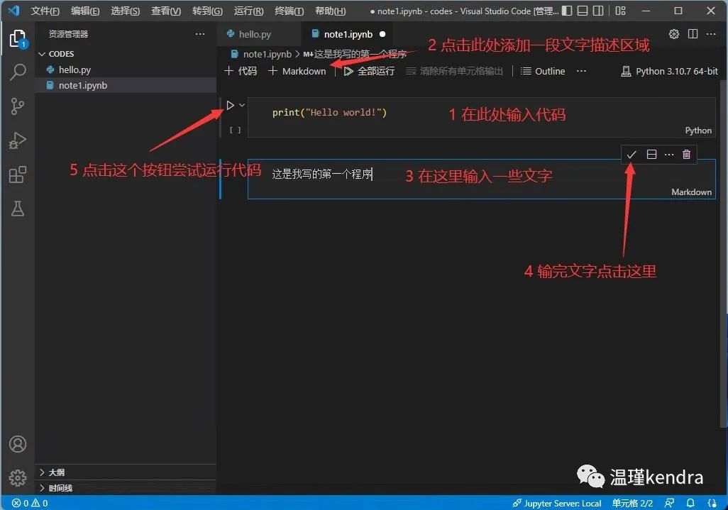  python vscode jupyter notebook 